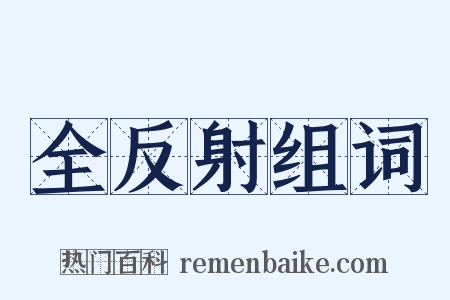 全反射组词是什么意思的图片
